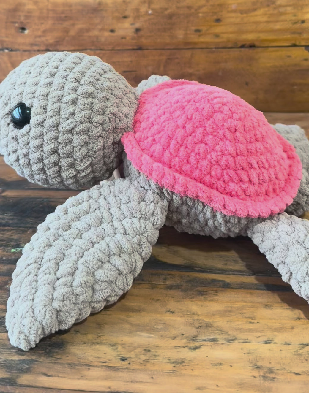 Tilly the Turtle